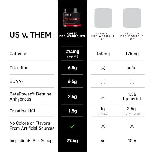Pre Workout Powder Berry Blast | Creatine, Beta Alanine, L-Citrulline, BCAAs | 2