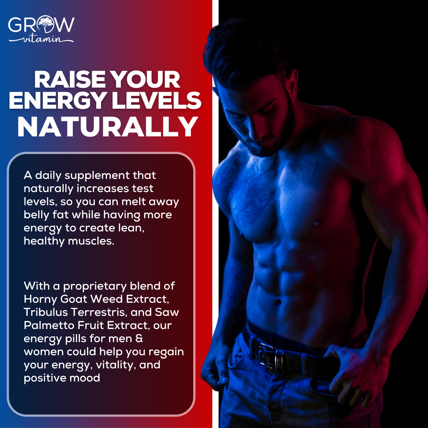 PREMIUM Testosterone Booster Prime Test Boost 60 CAPLETS Male Enhancement 06/24