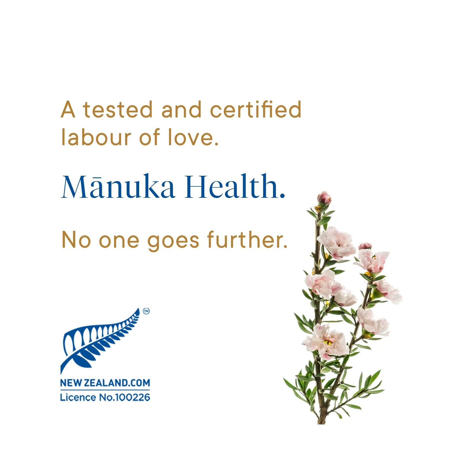 Manuka Health MGO 400+ Manuka Honey Lemon & Ginger Lozenges 65g