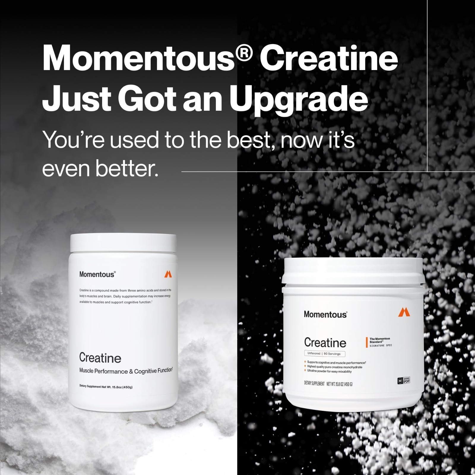 Creatine Monohydrate Powder 5g | Unflavored, NSF Certified, Non-GMO, Gluten-Free