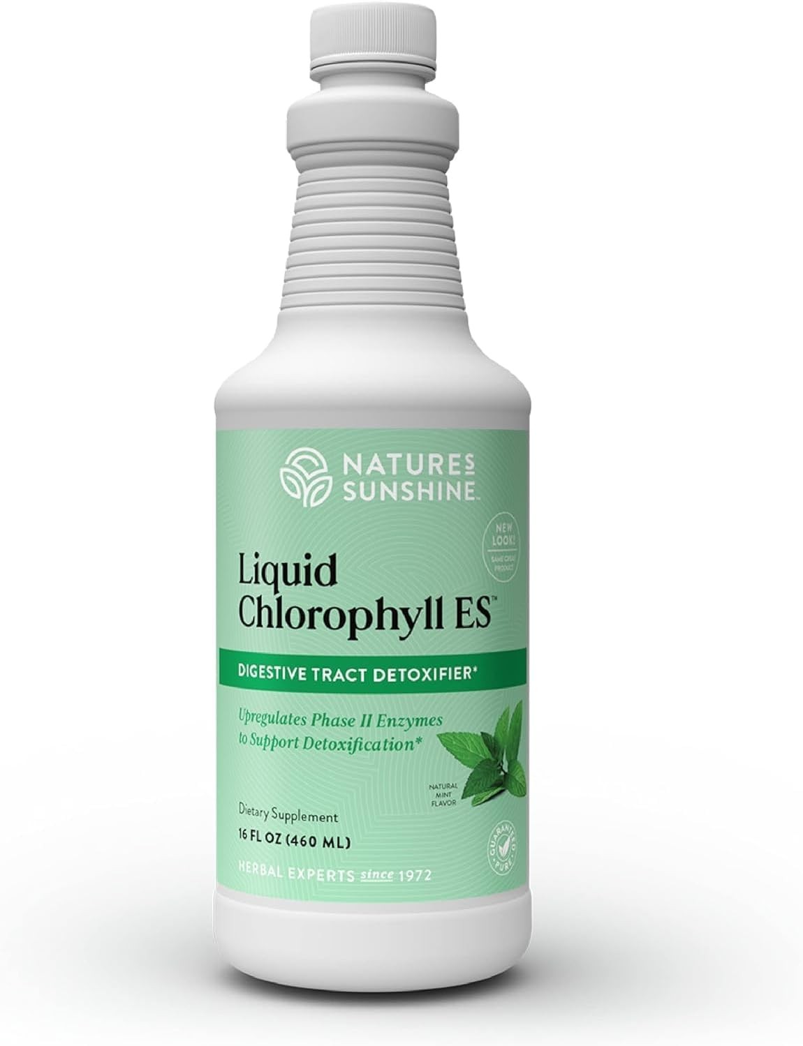 Nature’s Sunshine Liquid Chlorophyll Extra Strength – 16 Fl Oz (Pack of 1)