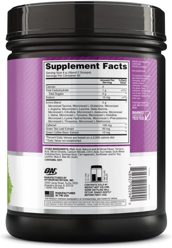 65 Servings Amino Energy-Pre Workout w/ Green Tea,BCAA,Amino Acids,Keto Friendly