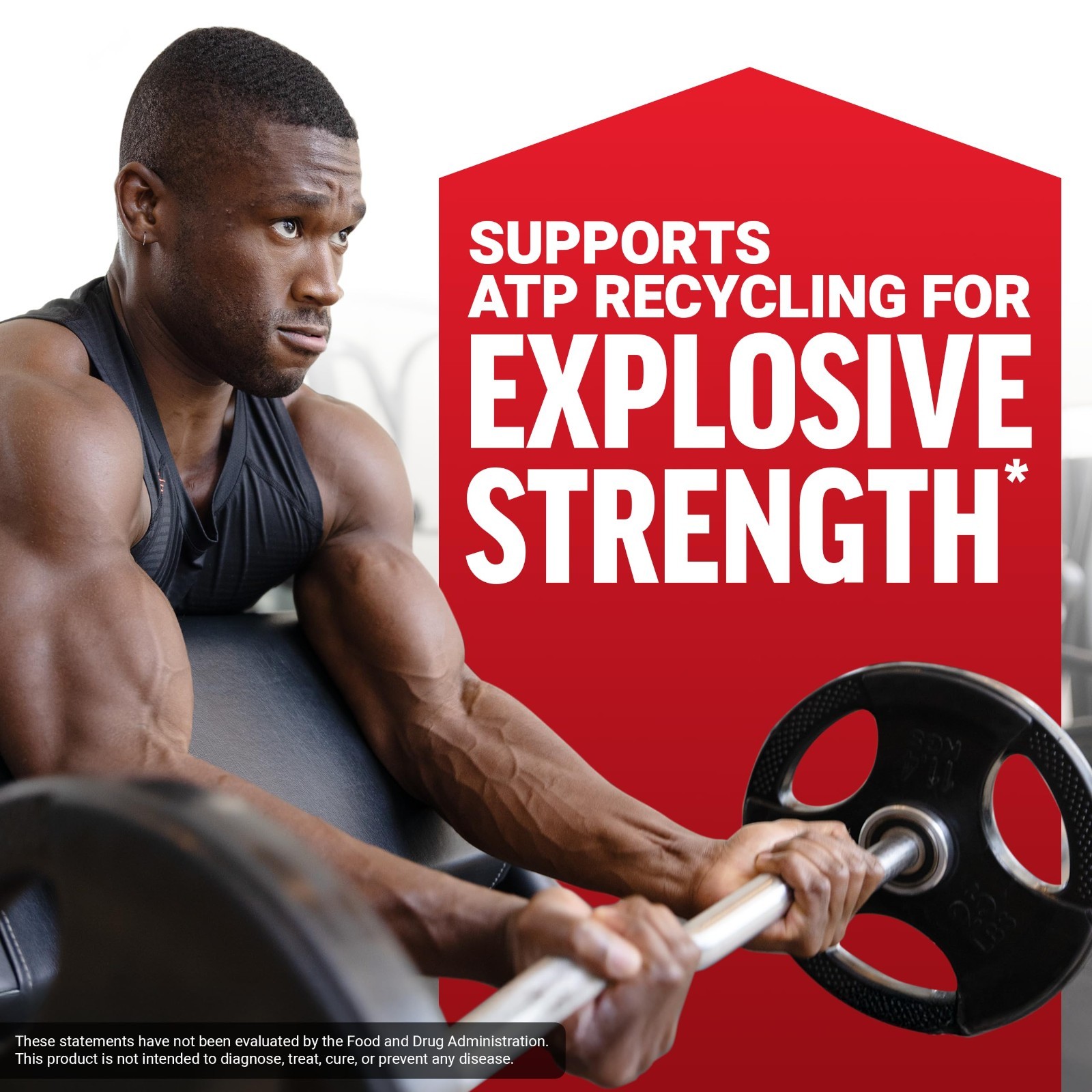 Micronized Creatine Monohydrate Powder, 5g Dose, Muscle Growth & Recovery, 200 S
