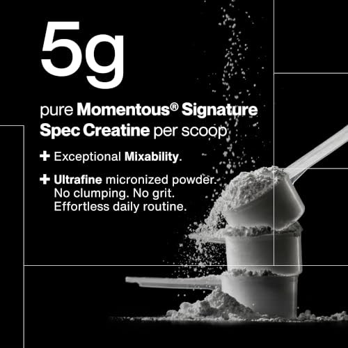 Creatine Monohydrate Powder 5g 90 Servings Strength Muscle