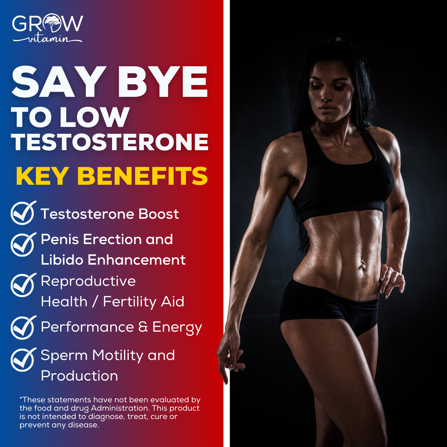 TESTO BOOSTER – Energy, Stamina, Endurance – Muscle Builder – PRIME LAB CAPLETS
