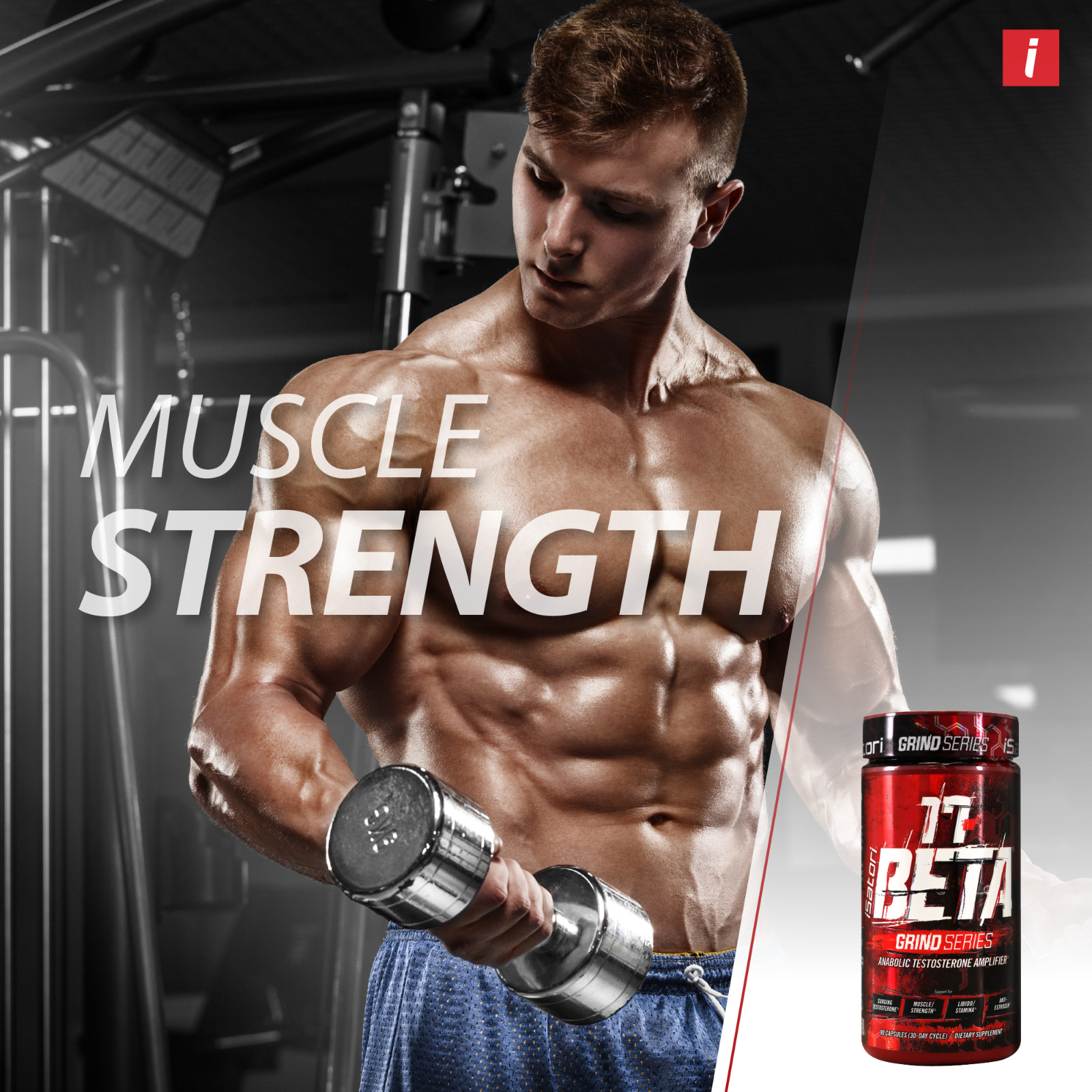 iSatori 17-BETA Testosterone Amplifier DHEA for Muscle & Strength – 90 Capsules