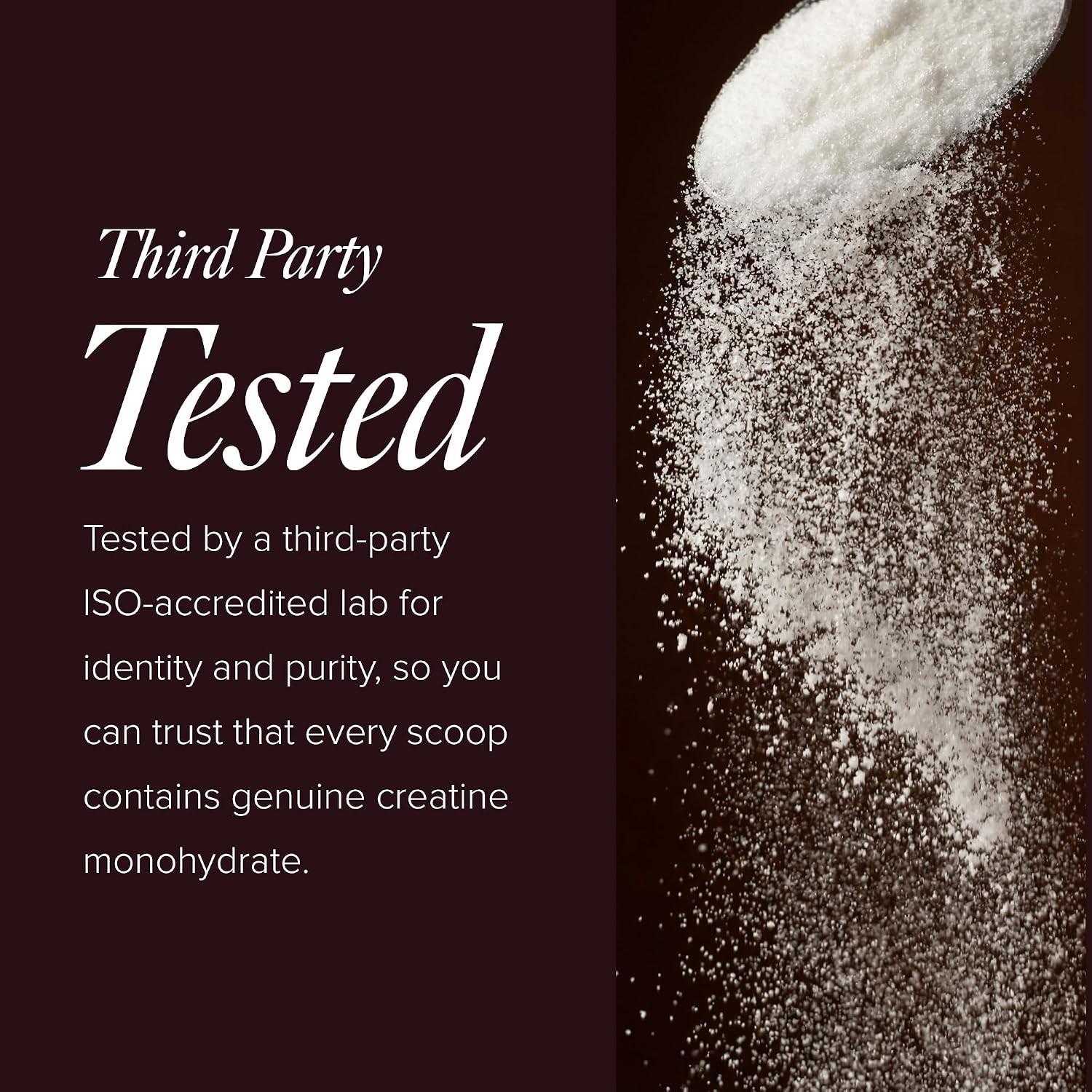 Creatine Monohydrate Powder | 90 Servings