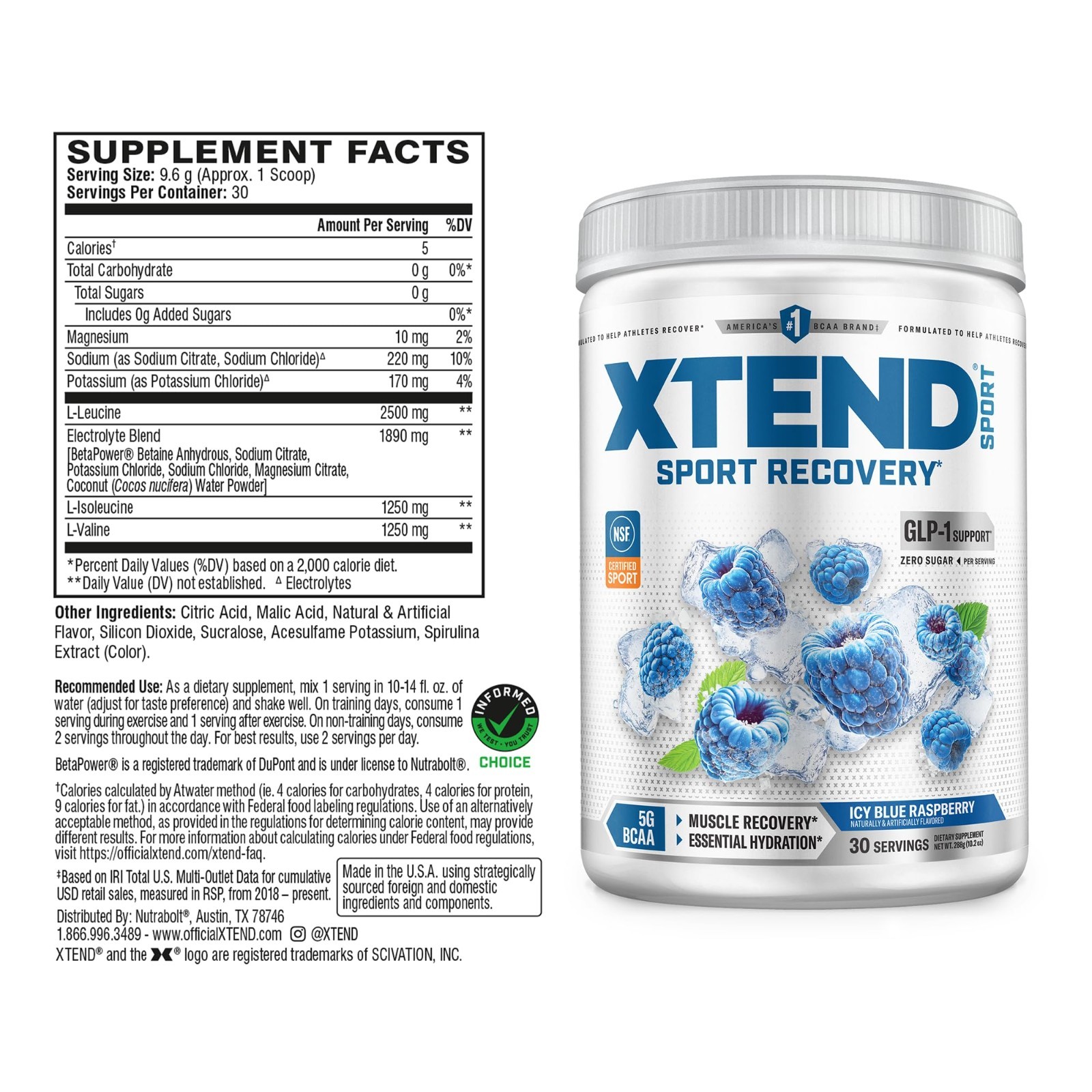 BCAA Powder Blue Raspberry Ice – Electrolyte Recovery & Hydration Drink Mix – 30
