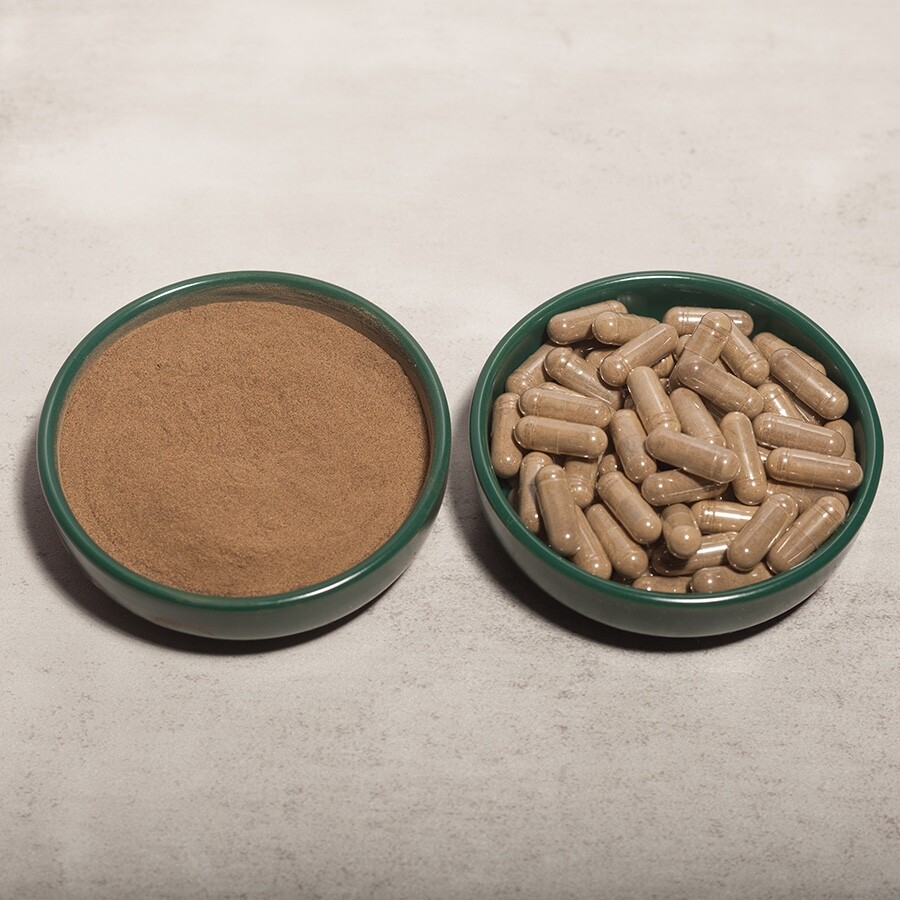 TURKESTERONE 10% – Ajuga Turkestanica – 60 (500mg) capsules
