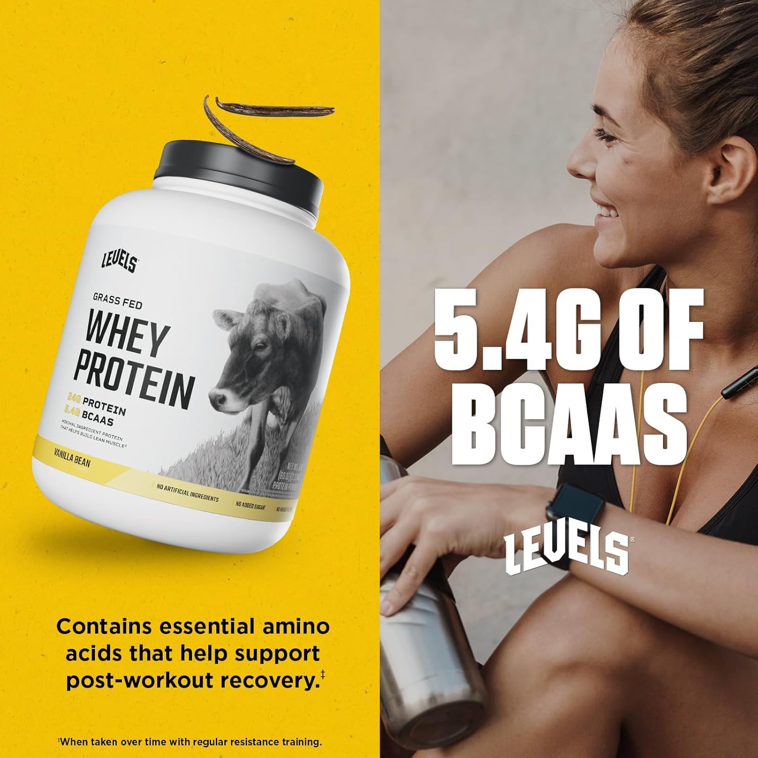Levels Grass Fed Whey Protein Powder, No Artificials, 24G 5 Pound (Pack of 1)
