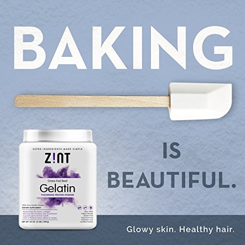 Zint Beef Gelatin Powder, Unflavored, 16 oz – Keto, Paleo, Gluten Free
