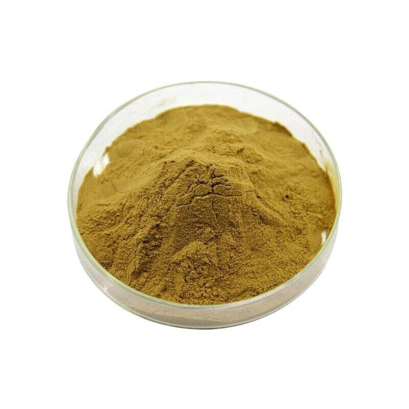 100% Pure Bulbine Natalensis 10:1 Extract Bodybuilding Powder – Muscle Gain 1LB