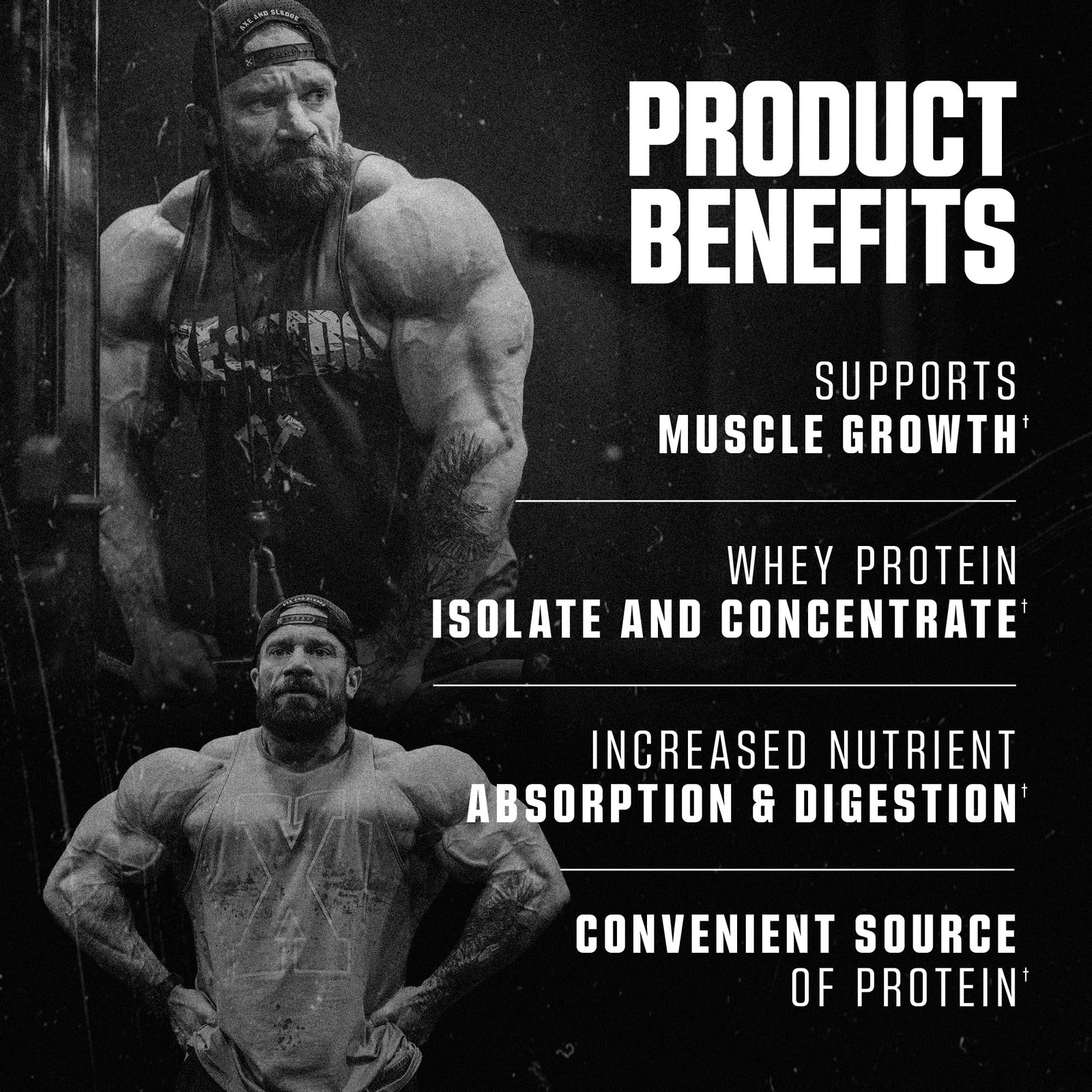 Axe & Sledge WHEY More Premium Protein Blend | 24g Protein, Whey Concentrate …