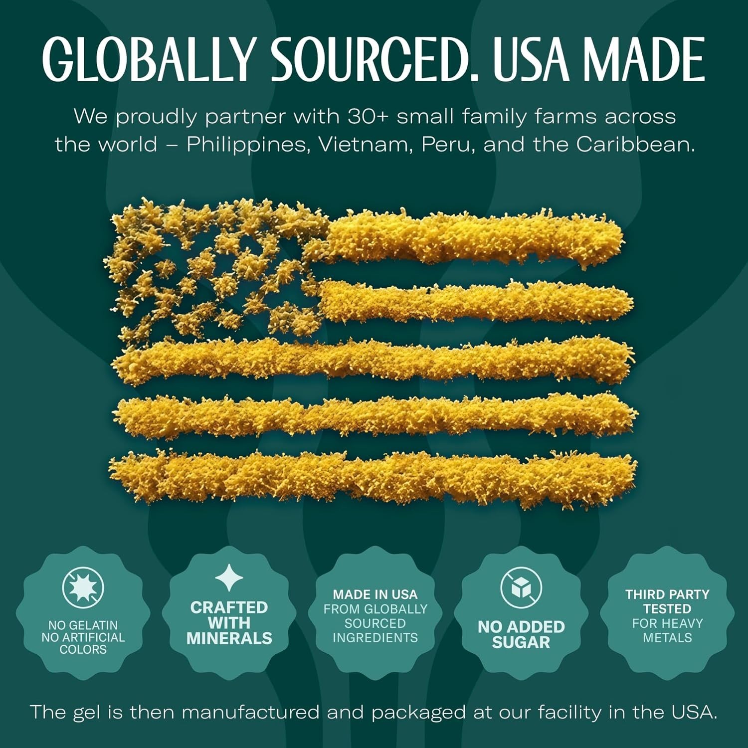 TrueSeaMoss Sea Moss Gel – Made in USA – Wildcrafted Seamoss, Fruits & Jarred Ve