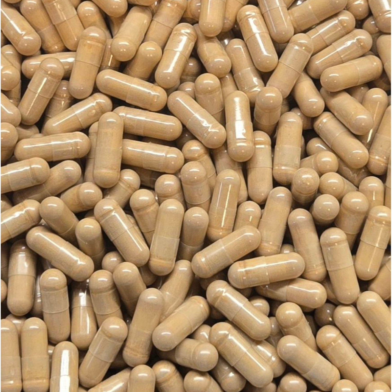 Deer Antler Velvet Extract 4:1 Capsules – Bulk