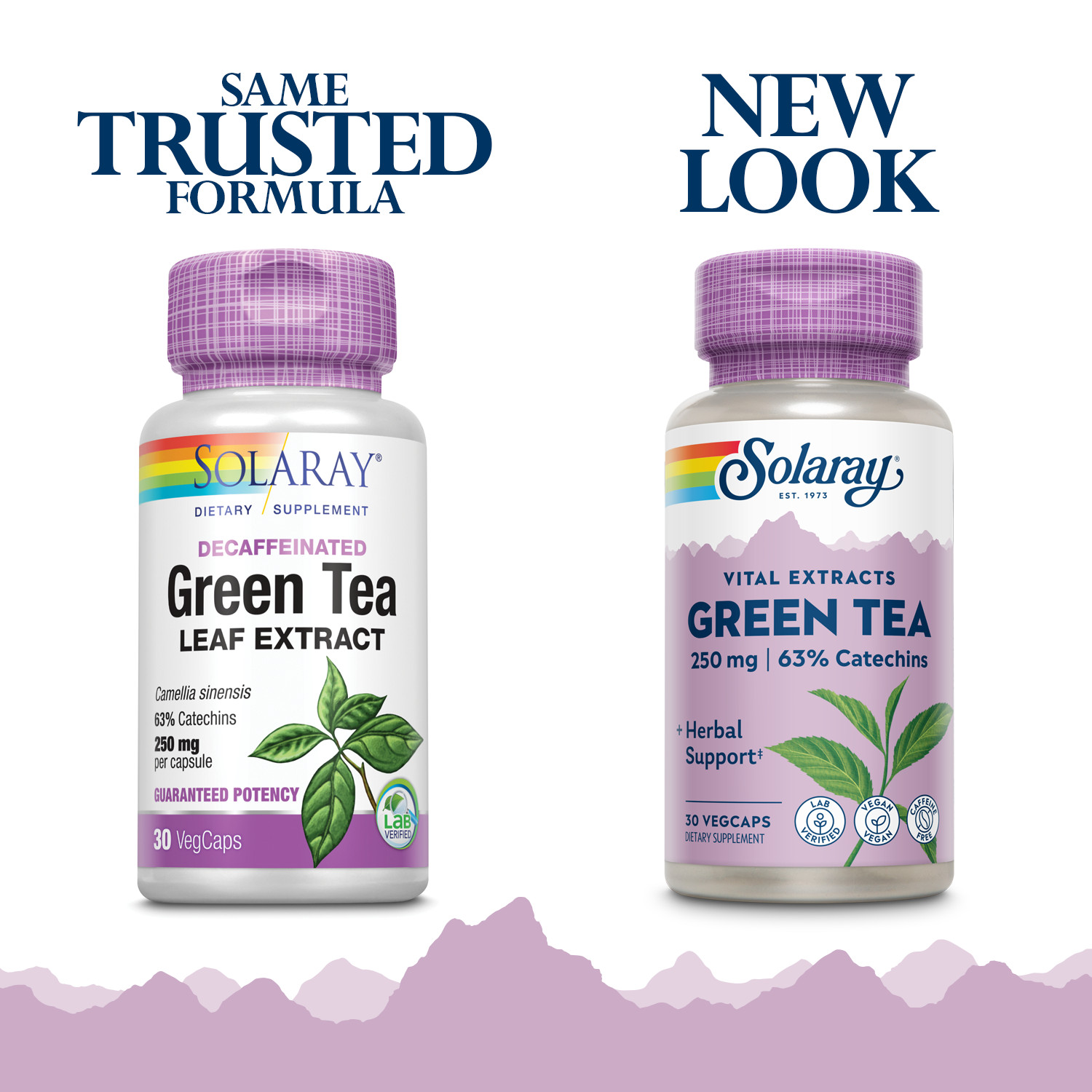 Solaray Green Tea Leaf Extract 250 mg | 30 VegCaps