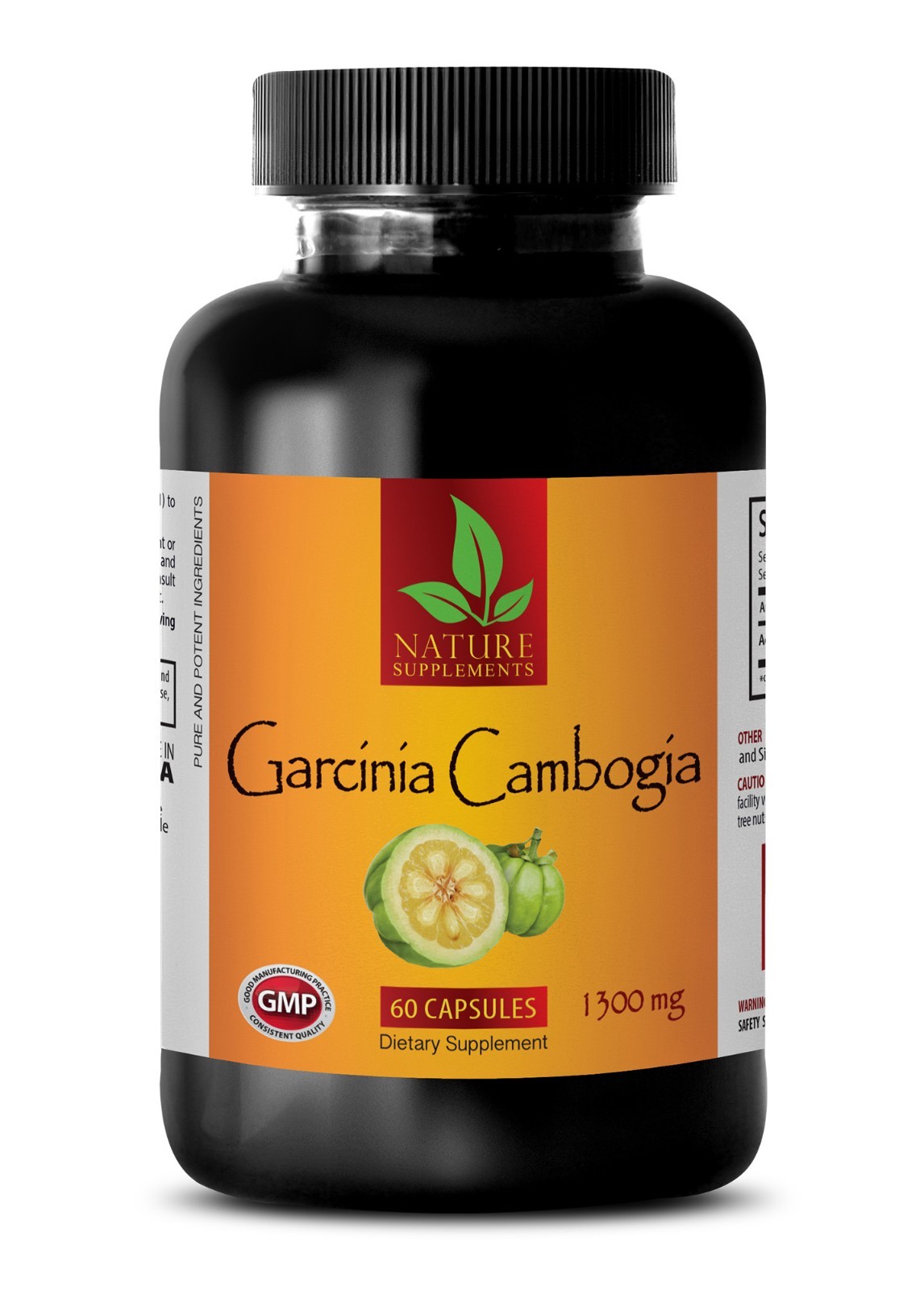 Garcinia Cambogia Extract Pure Belly Fat Burner, Weight Loss Diet 60% HCA -1B