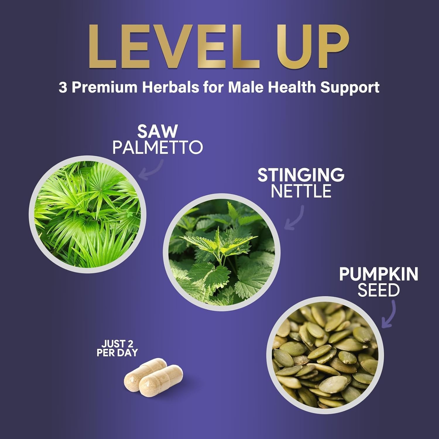 Prostate Health Supplements for Men – 3X Strength with Saw Palmetto Blend Stingi