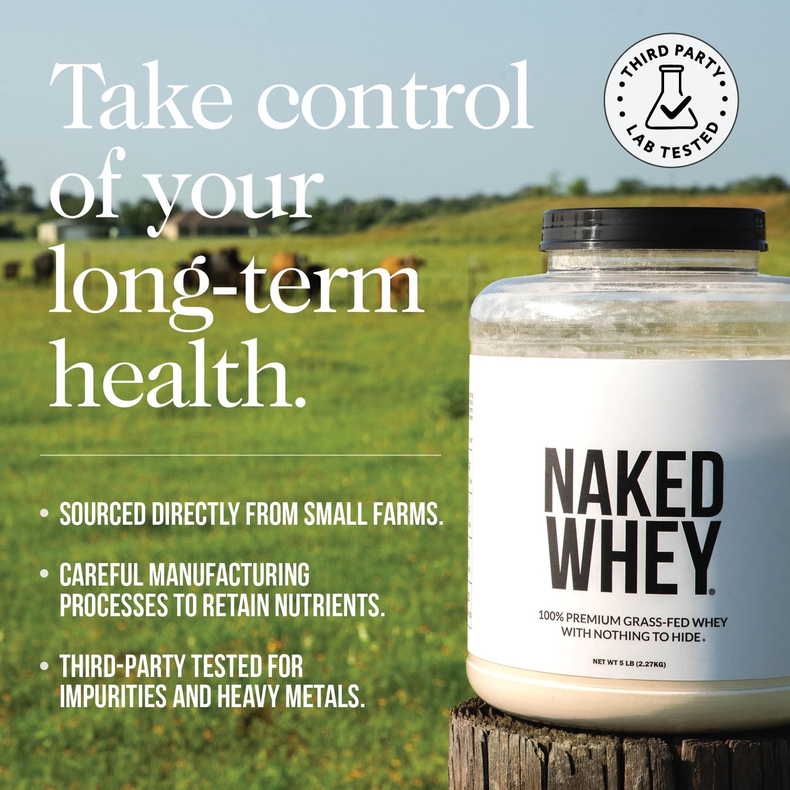 Strawberry Whey Protein – All Natural Grass Fed Whey Protein Powder + Dried