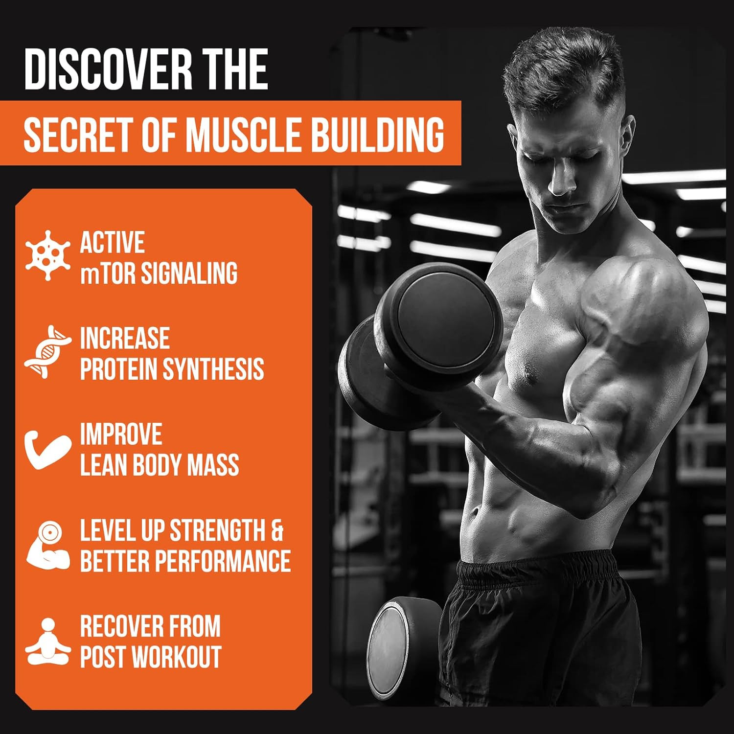 2000Mg Liposomal Phosphatidic Acid Muscle Builder (PA), High Absorption Muscle B
