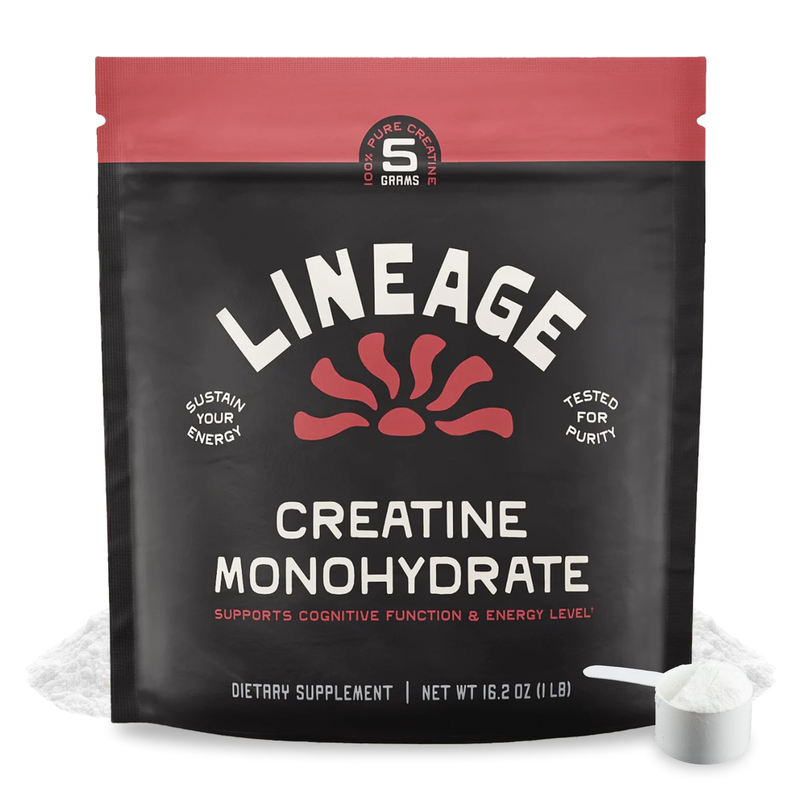 Lineage Provisions Micronized Creatine Monohydrate 1.03 Pound (Pack of 1)