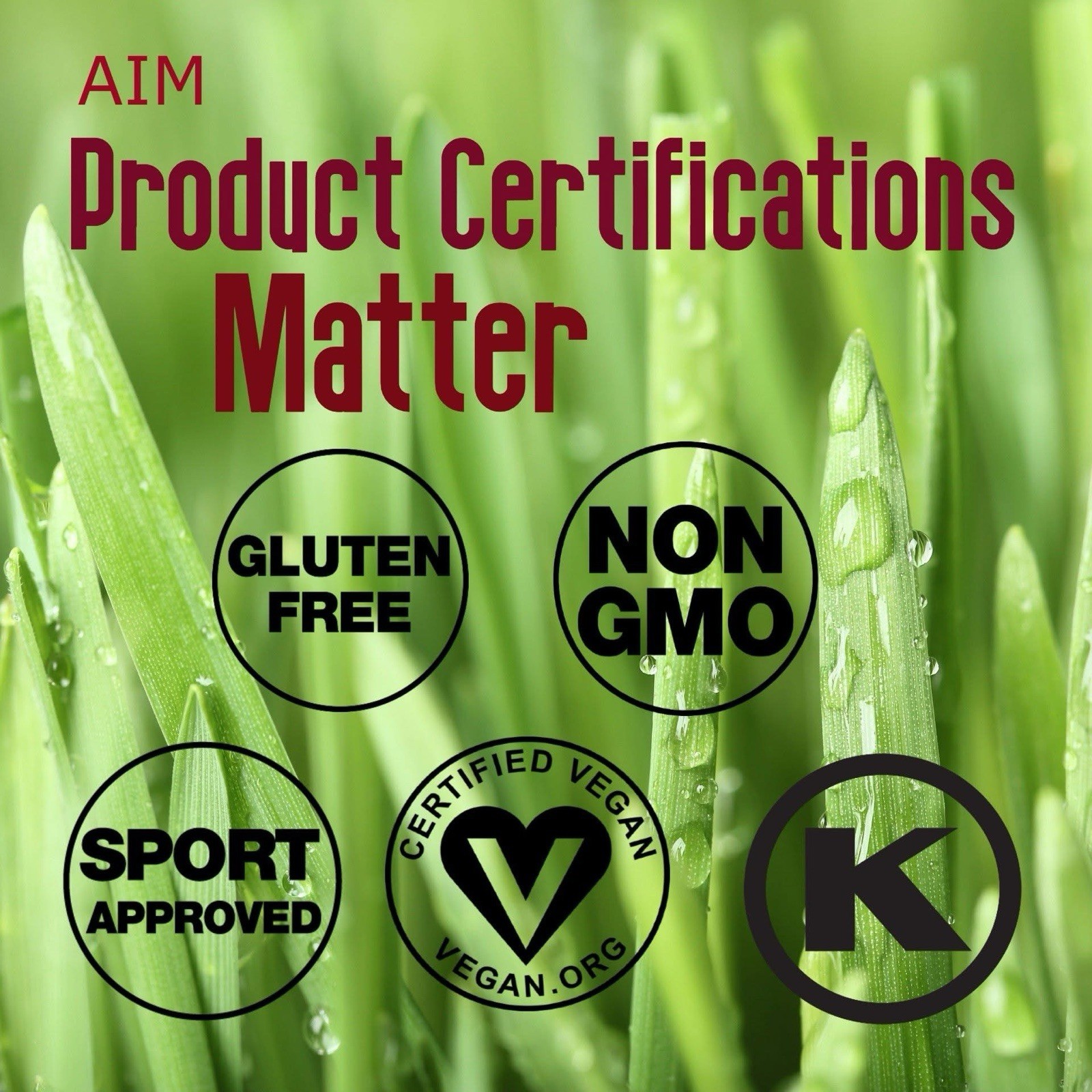 AIM Pro Peas Protein Powder Vanilla Flavor Muscle Builder