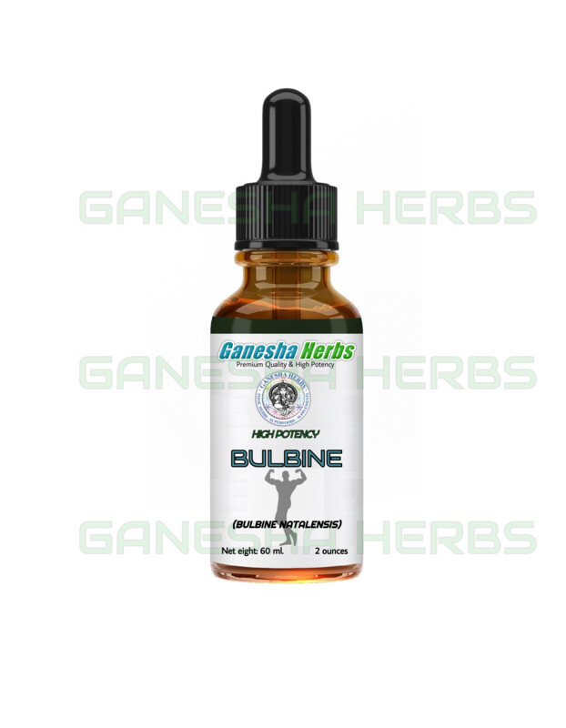 BULBINE NATALENSIS LIQUID EXTRACT TINCTURE 2 oz. BODYBUILDING