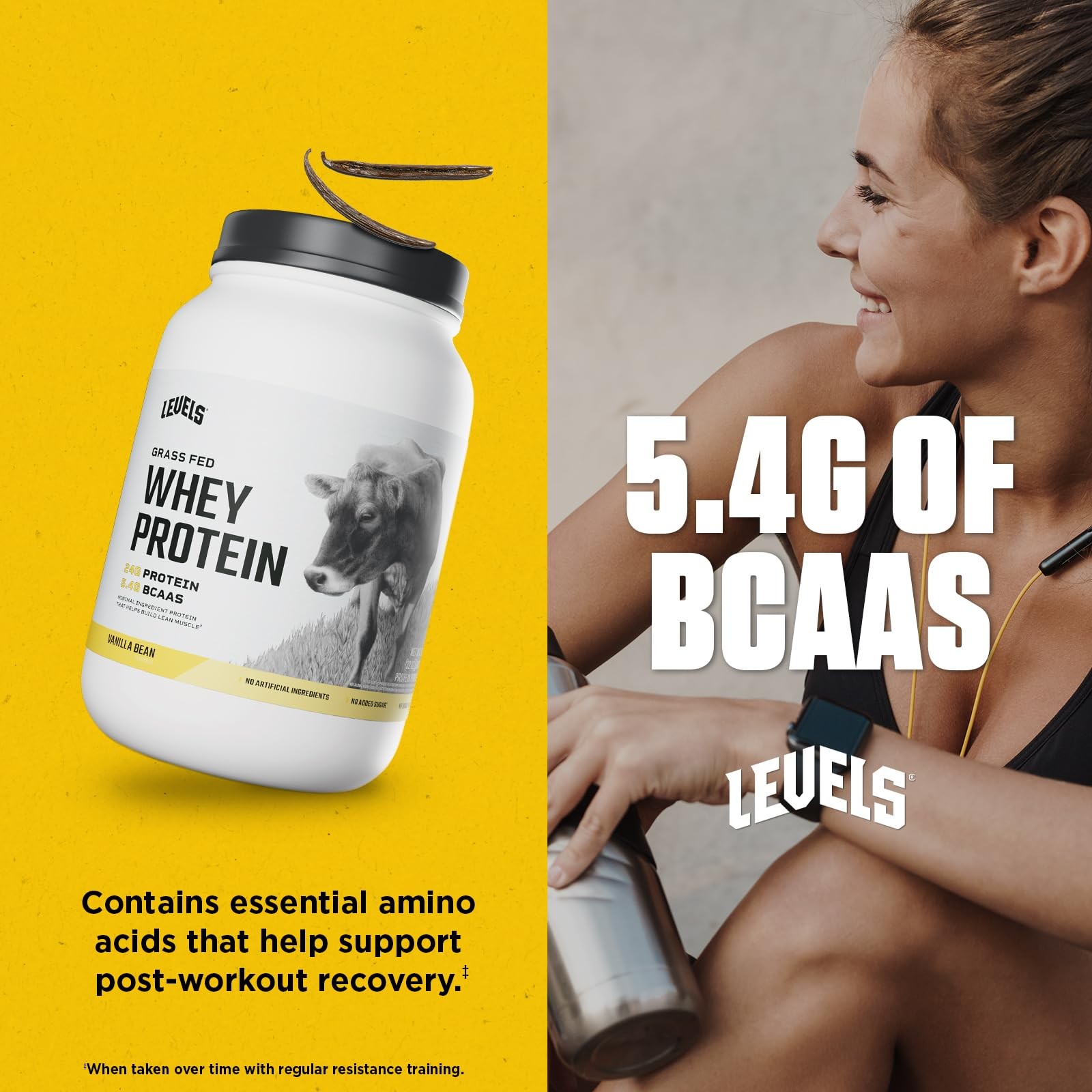 Grass Fed Whey Protein Powder 24G Protein Vanilla Bean 2LB No Artificials