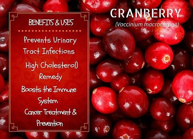 antioxidant anti aging – CRANBERRY CONCENTRATED EXTRACT 50:1 3B – cranberry flav