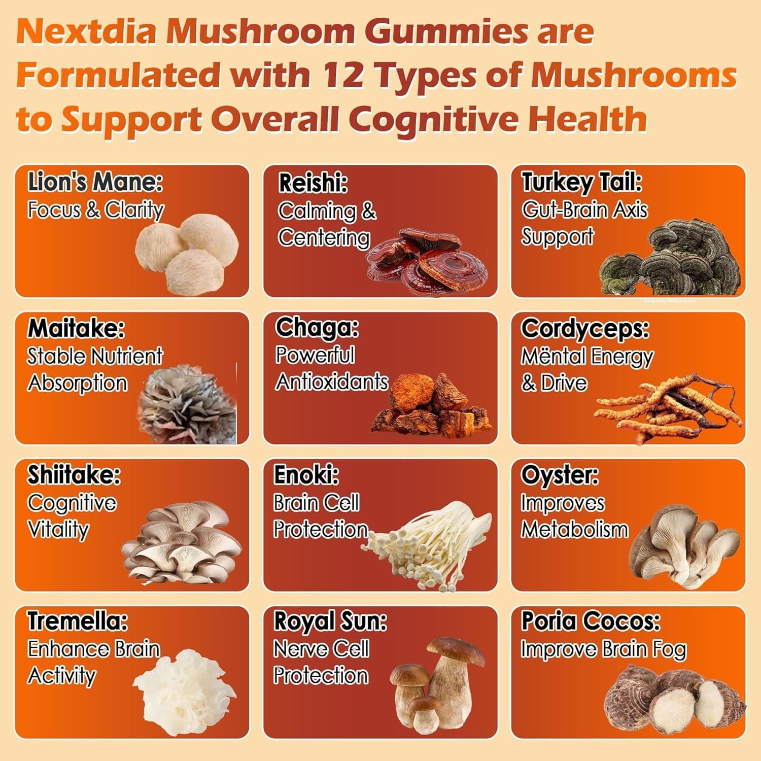 12-In-1 Mushroom Gummies w/ Lion’s Mane, Caffeine & L-Theanine, Nootropic Brain