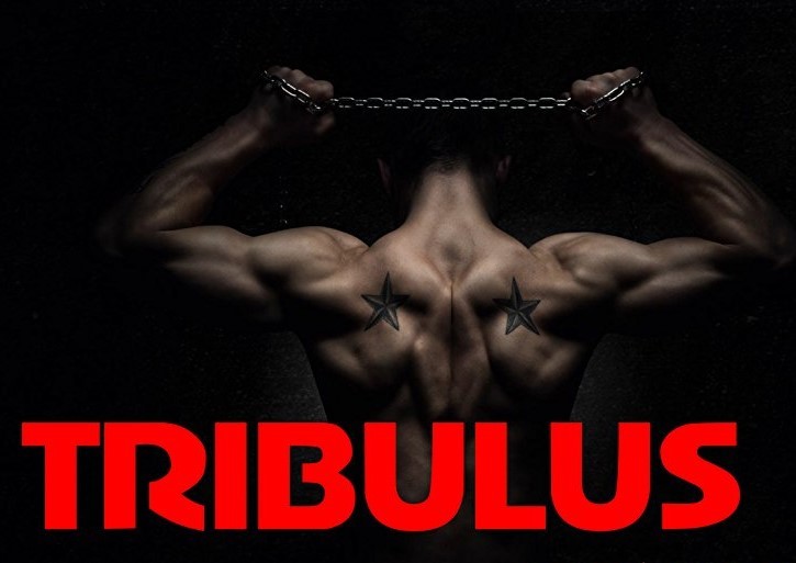 Tribulus Terrestris Dietary Supplement.Muscle Mass.Testosterone level(3 Bottles)