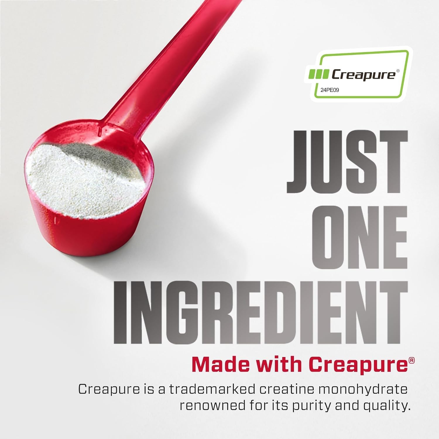 Dymatize Creatine Monohydrate Creapure 300g 60 Servings Unflavored Powder