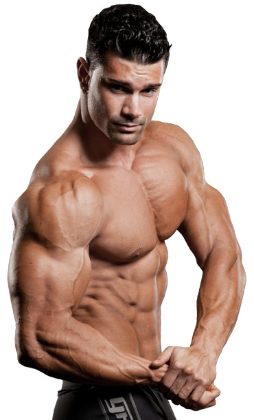 tribulus extract – TRIBULUS TERRESTRIS – Strength 180 Tablets 3 Bottles