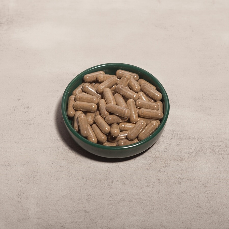 TURKESTERONE 10% – Ajuga Turkestanica – 60 (500mg) capsules