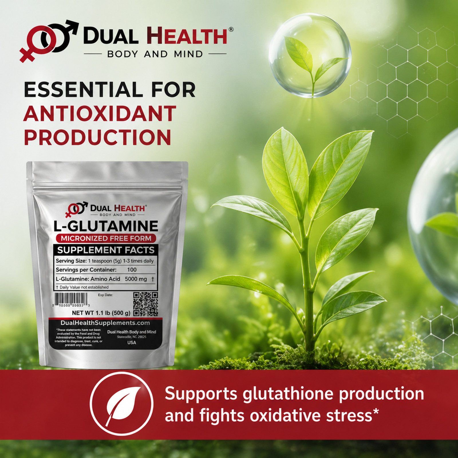 L-Glutamine Powder Pure Micronized Amino Acid Bulk Supplements Gut Health Power