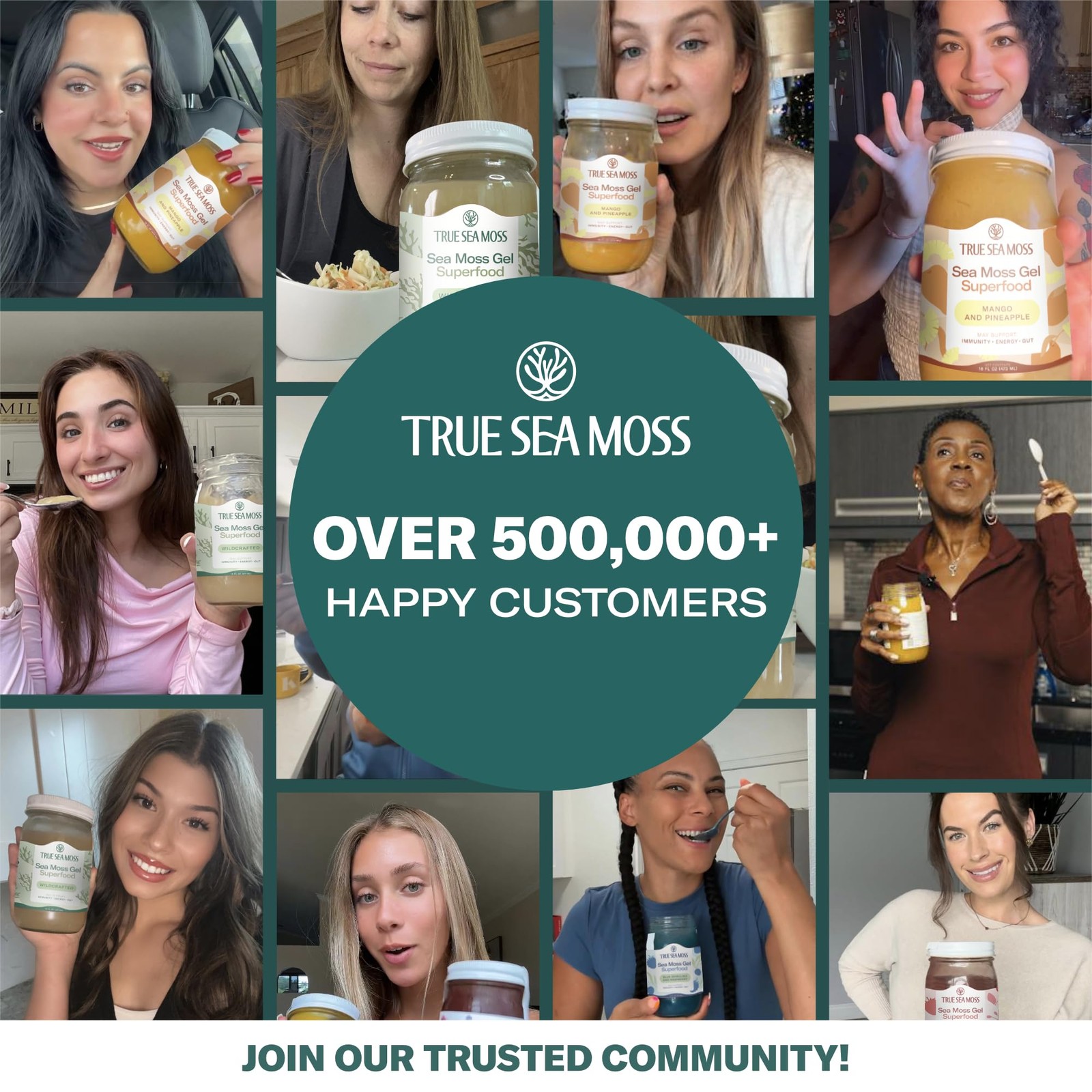 Sea Moss Gel – USA Made, Wildcrafted, Apple Cinnamon, Fresh Fruits & Vegetabl…