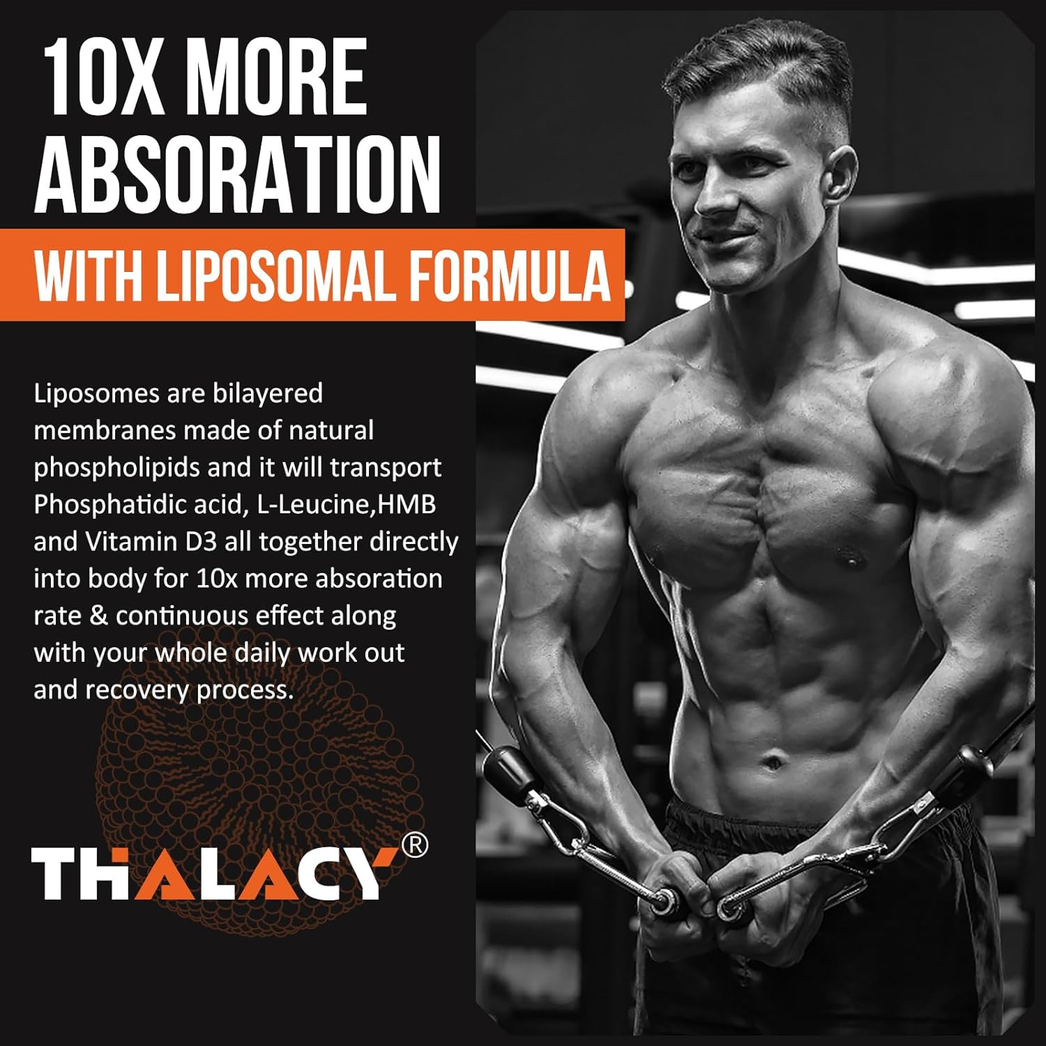 2000Mg Liposomal Phosphatidic Acid Muscle Builder (PA), High Absorption Muscle B