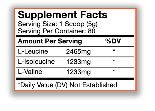 Premium Powders: BCAA (400g), Improve Recovery Time, Increase Muscle Gains
