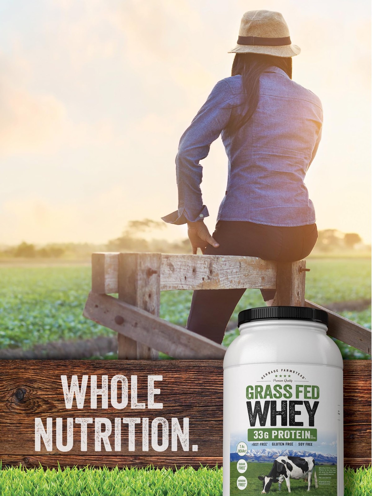 Carlyle Grass Fed Whey Protein Powder | 2lb | 33g of Protein Per Serving | Un…