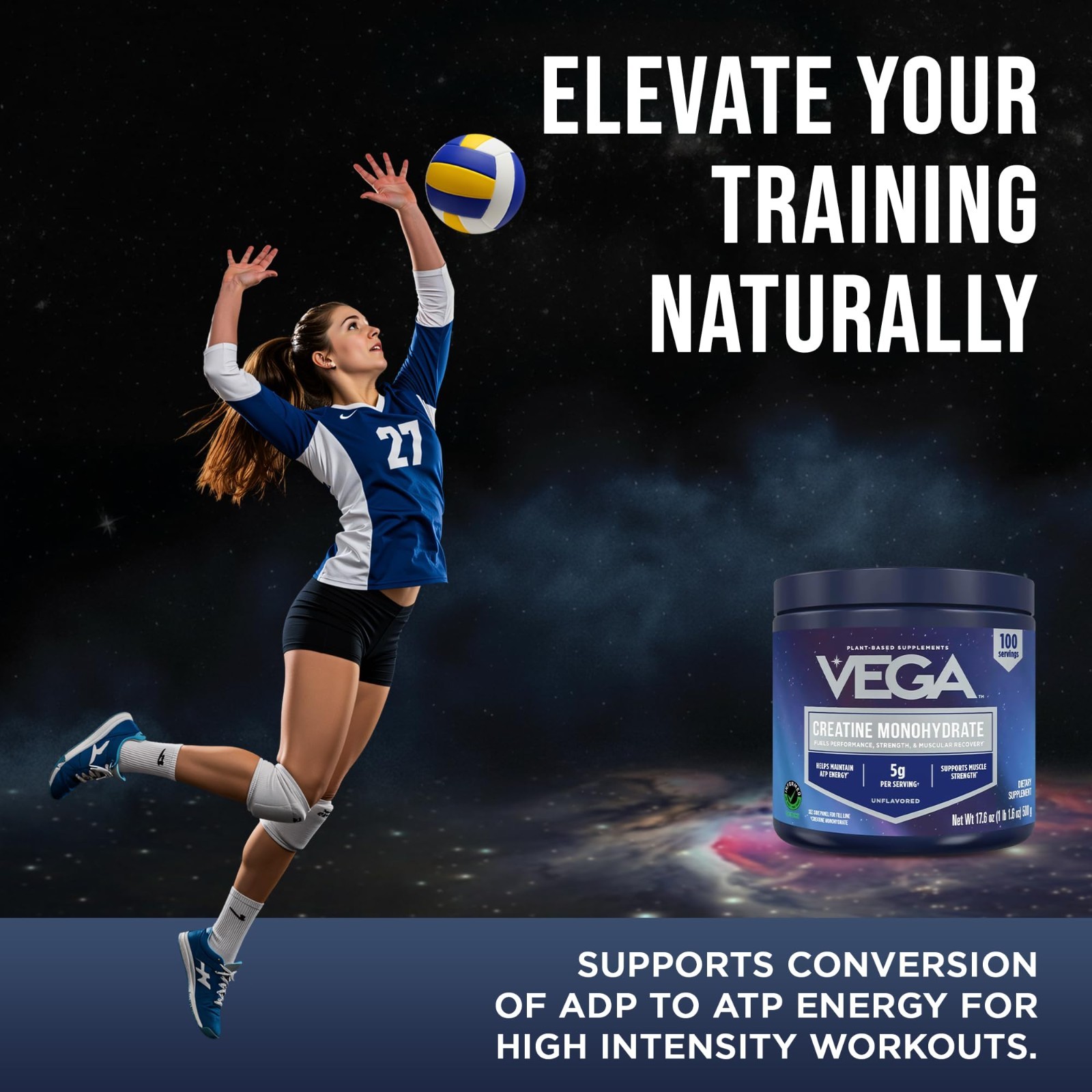Micronized Creatine Monohydrate Powder, Unflavored – 5g Vegan Creatine for Stren
