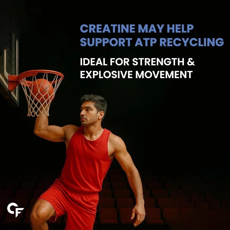Creatine Micronized Monohydrate Powder | Unflavoured – 33 Servings – 103g