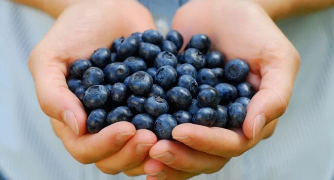 ACAI BERRY EXTRACT – Complete Radiant Skin Support – 2B 120 Caps