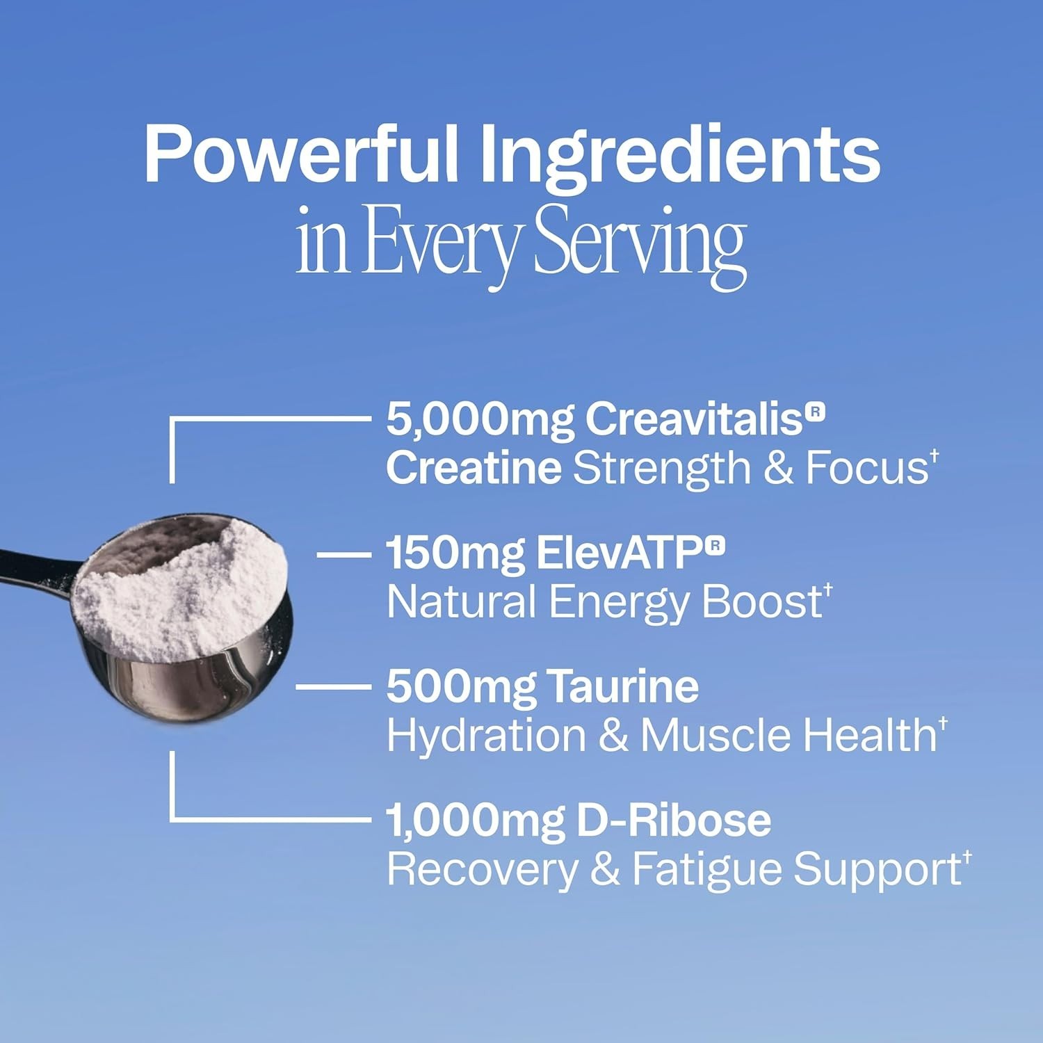 Ora Organic Creatine Powder Creavitalis Acai Berry 30 Servings Exp 09/27