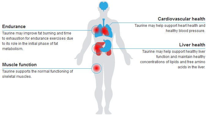 anti inflammatory food – L-TAURINE 500MG 1B – taurine amino acid powder