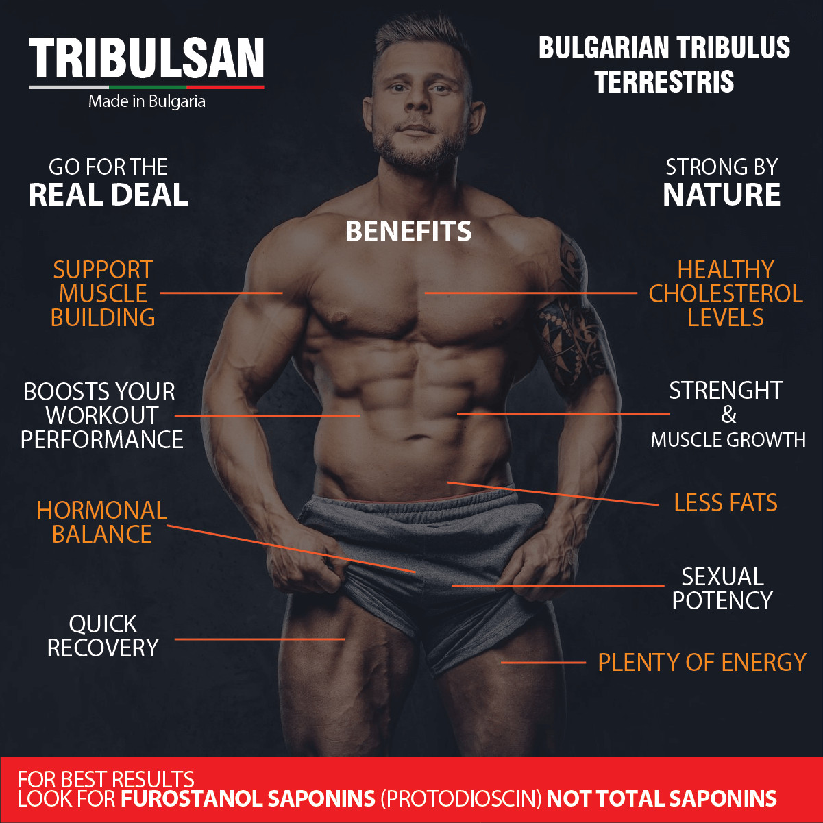 Tribulsan 500 mg x 90 capsules – 60% FUROSTANOL SAPONINS – Bulgarian tribestan