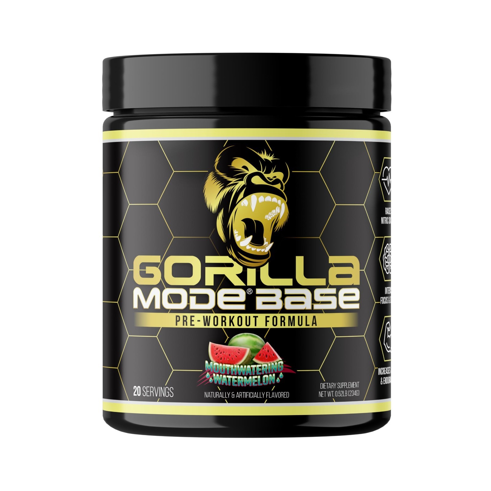 Pre Workout Powder – Boost Nitric Oxide, Intense Focus, Endurance, Energy – 234g