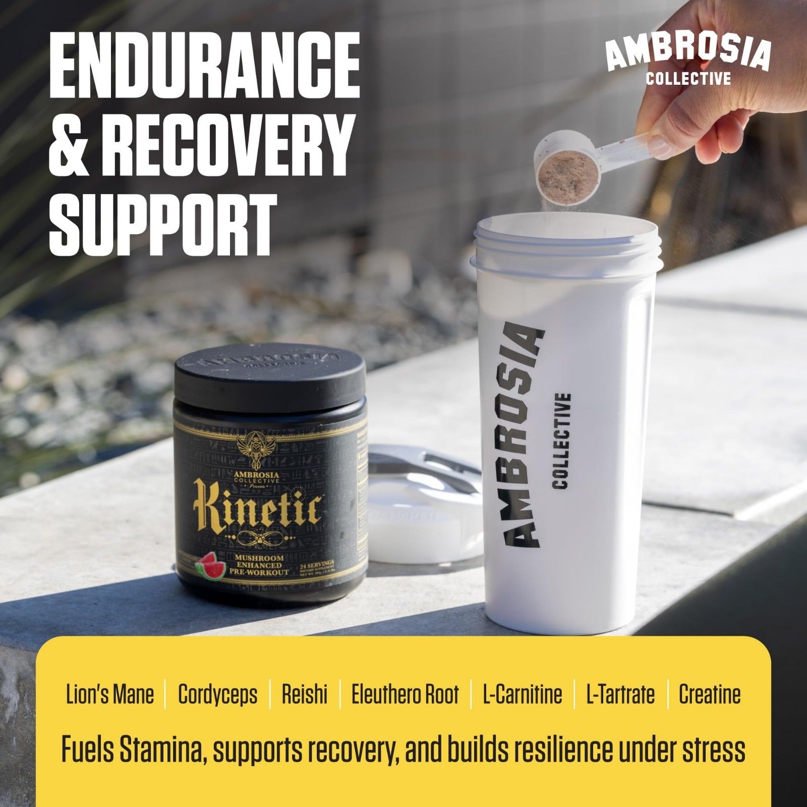 Organic Mushroom Pre Workout Powder – Creatine, Lion’s Mane, Cordyceps, Reishi –