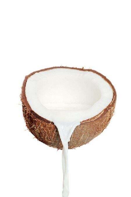 Creamy Coconut Milk Powder – Organic