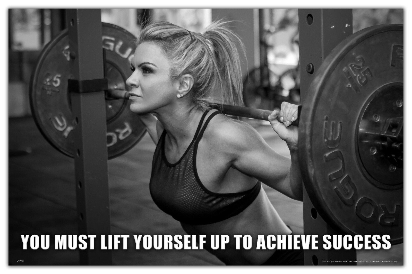 Workout Motivational Poster Art Print 11×17 Weight Lifting Home Gym Wall Decor