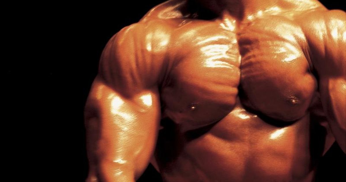 Muscle Building – MUSCLE MAKER PLUS – Promote Natural Muscle Development – 3 Bot